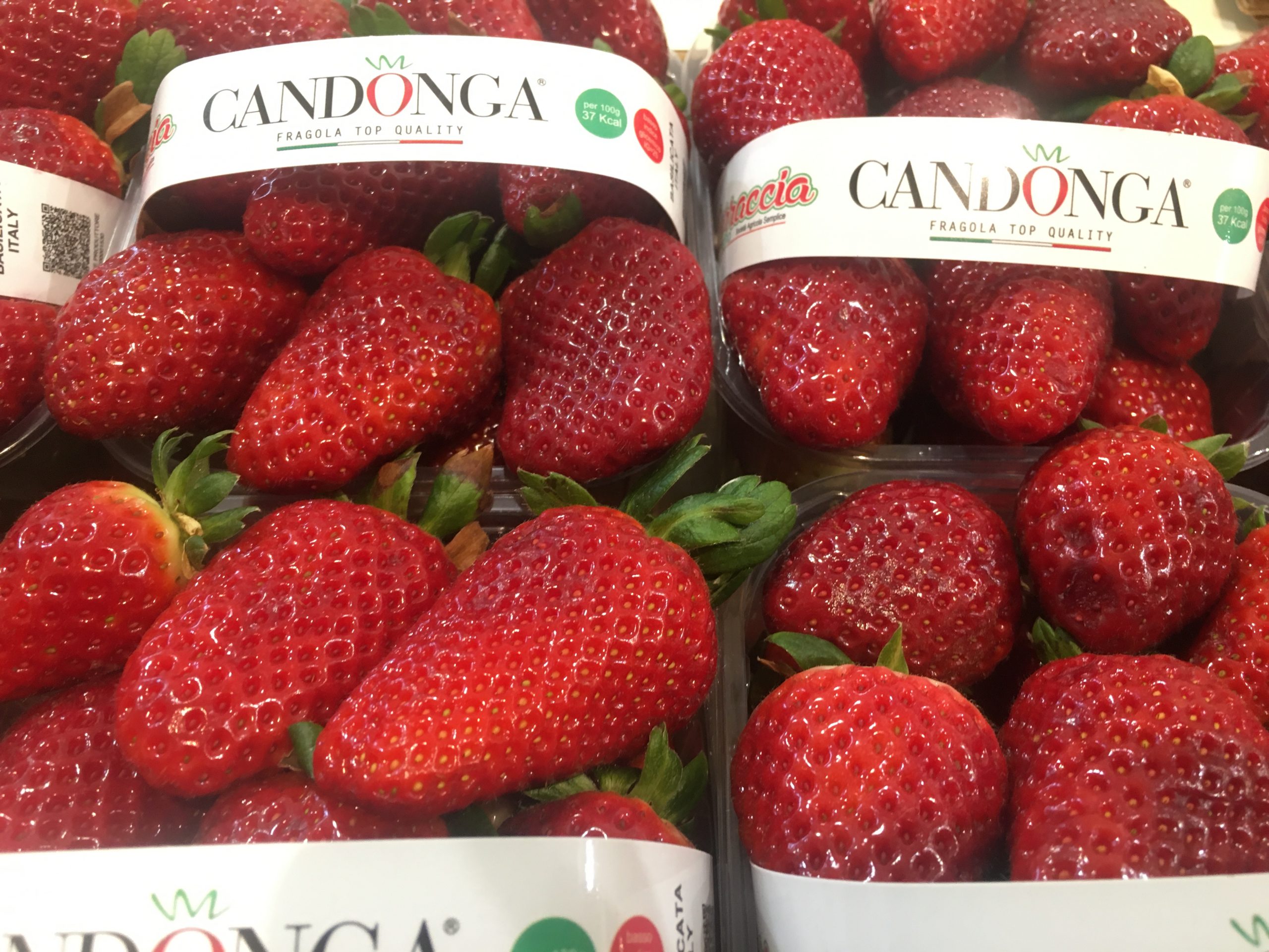 Frutta e verdura biologica a Perugia