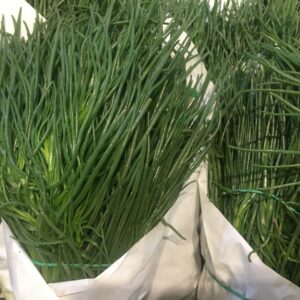 AGRETTI
