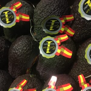 AVOCADO HASS