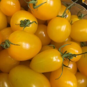 DATTERINO GIALLO