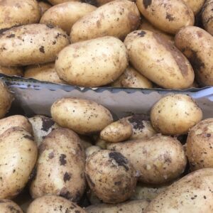 PATATE NOVELLE